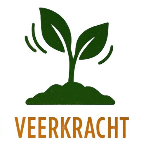 Veerkracht